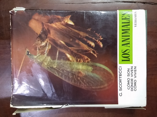 Portada del libro de Los animales. Cómo son. Dónde viven. Cómo viven. Vol V: Insectos