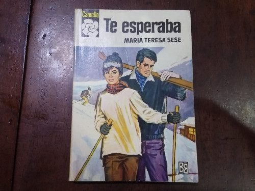 Portada del libro Te esperaba. Colección Camelia nº 595