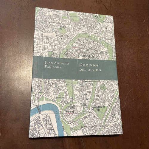 Portada del libro de Dominios del olvido