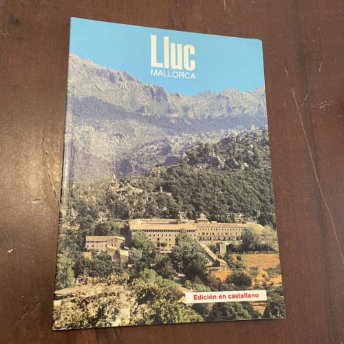 Portada del libro de Lluc Palabra e imagen