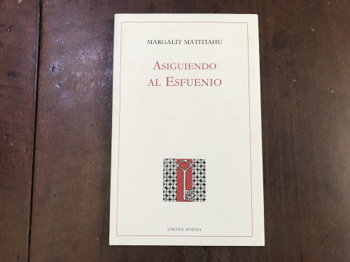 Portada del libro de Asiguiendo al Esfuenio