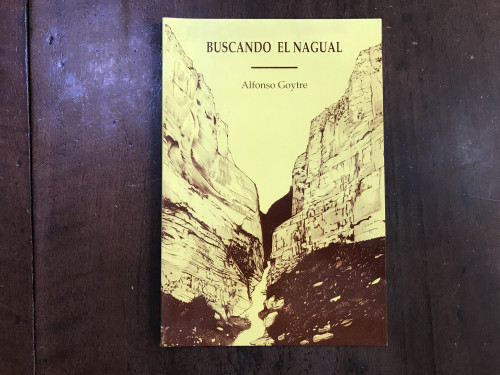 Portada del libro de Buscando el Nagual