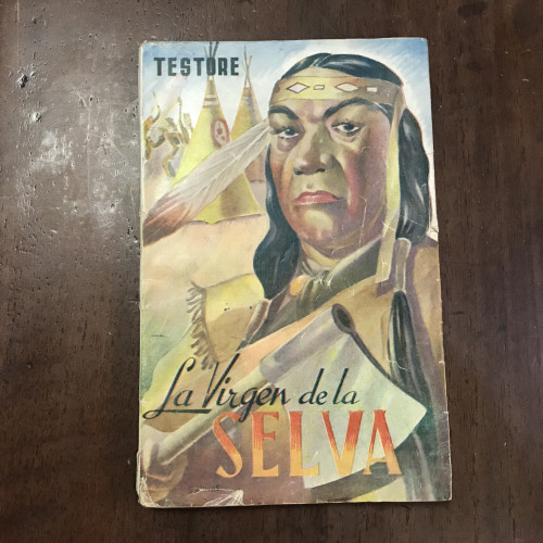 Portada del libro de La virgen de la selva. Aventuras entre los pieles rojas