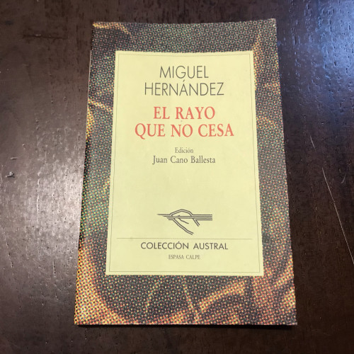 Portada del libro de El rayo que no cesa