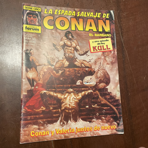 Portada del libro La espada salvaje de Conan el bárbaro nº 65. Conan y Valeria juntos de nuevo
