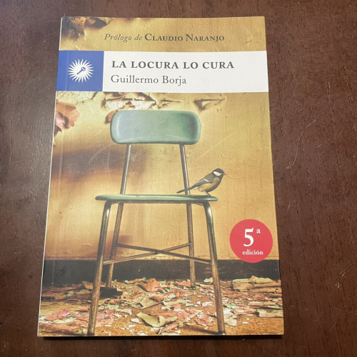 Portada del libro de La locura lo cura 