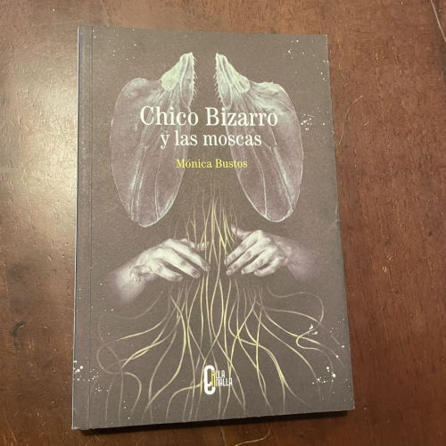 Portada del libro de Chico Bizarro y las moscas