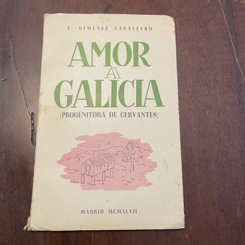 Portada del libro de Amor a Galicia (galego)