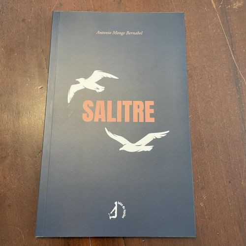 Portada del libro de Salitre