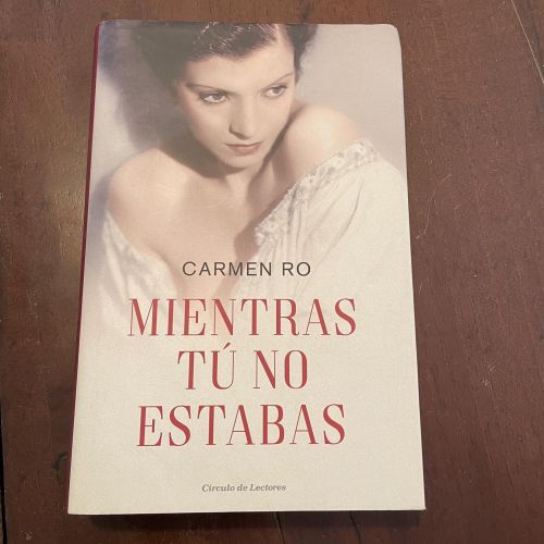Portada del libro de Mientras tú no estabas