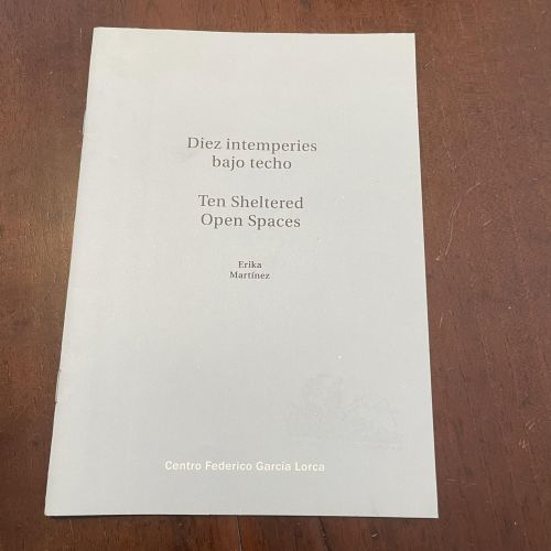 Portada del libro de Diez intemperies bajo techo. Texto bilingüe