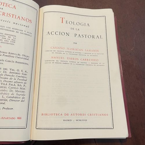 Portada del libro de Teología de la acción pastoral