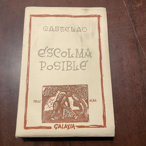Portada del libro de Escolma posible (galego)
