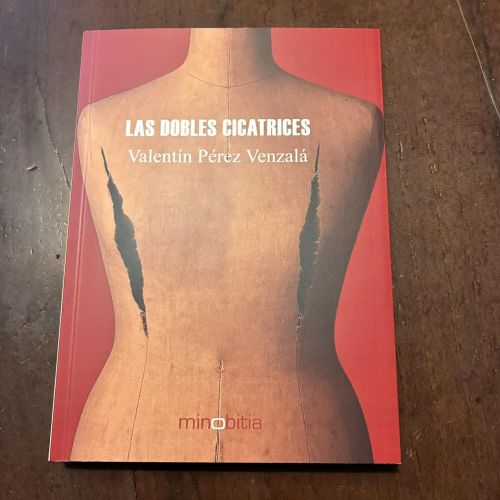 Portada del libro de Las dobles cicatrices