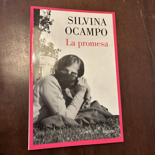 Portada del libro de La promesa