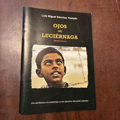 Portada del libro de Ojos de luciérnaga
