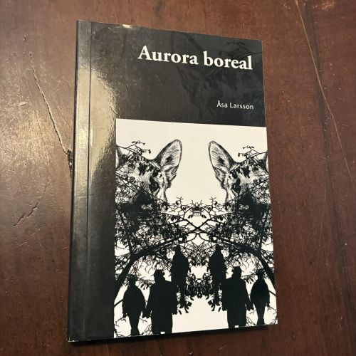 Portada del libro de Aurora boreal